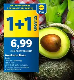 Lidl Awokado Hass Lidl oferta