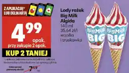 Delikatesy Centrum Lody rożek Big Milk Algida oferta