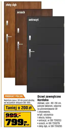 OBI Drzwi zewnętrzne Orzech oferta
