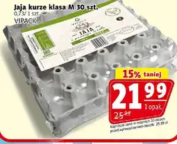 Prim Market Jajka kurze klasa M VIPACK oferta