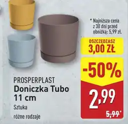 ALDI Doniczka oferta