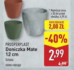 ALDI Doniczka Prospertplast oferta
