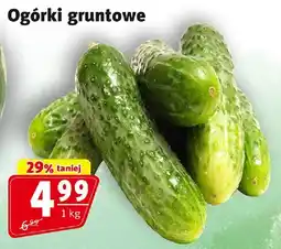 Prim Market Ogórki gruntowe Prim Market oferta