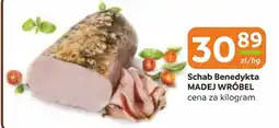 Gama Schab Madej Wróbel oferta