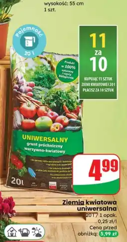 Dino Ziemia kwiatowa M-Grunt oferta