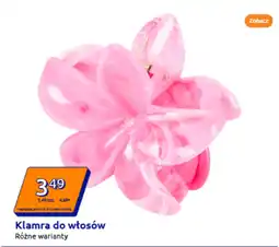 Action Klamra do włosów oferta