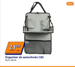 Action Organizer do samochodu oferta