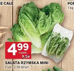 Stokrotka Sałata rzymska mini Stokrotka oferta