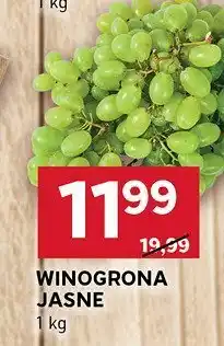 Stokrotka Winogrona jasne Stokrotka oferta