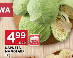 Stokrotka Kapusta na gołąbki Stokrotka oferta