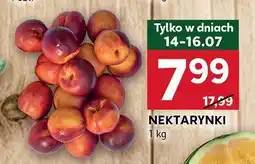 Stokrotka Nektarynki Stokrotka oferta