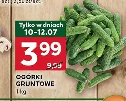 Stokrotka Ogórki gruntowe Stokrotka oferta