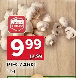 Stokrotka Pieczarki Stokrotka oferta
