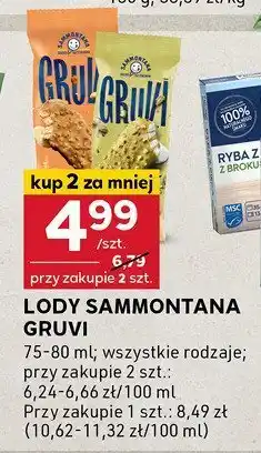 Stokrotka Lody Sammontana Gruvi oferta