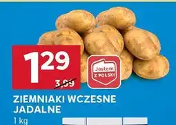 Stokrotka Ziemniaki wczesne jadalne Stokrotka oferta