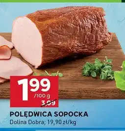 Stokrotka Polędwica sopocka Dolina Dobra oferta
