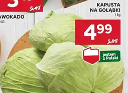 Stokrotka Kapusta na gołąbki Stokrotka oferta