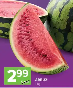 Stokrotka Arbuz Stokrotka oferta