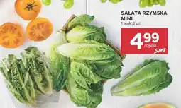 Stokrotka Sałata rzymska mini Stokrotka oferta