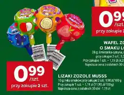 Stokrotka Lizaki Zozole Musss oferta