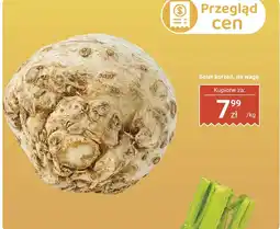 Biedronka Seler korzeń na wagę Biedronka oferta