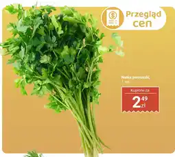 Biedronka Natka pietruszki 1 szt. Biedronka oferta