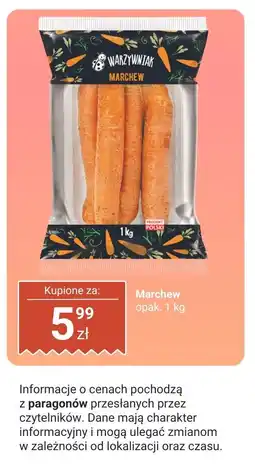 Biedronka Marchew Warzywniak oferta