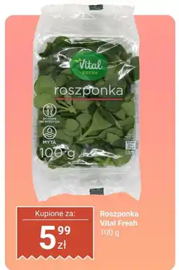 Biedronka Roszponka 1 opak. Vital Fresh oferta