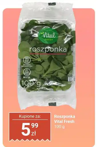Biedronka Roszponka Vital Fresh oferta
