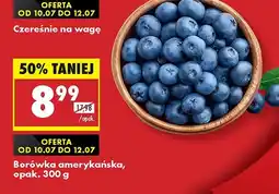 Biedronka Borówka amerykańska Biedronka oferta