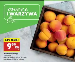 Biedronka Morela na wagę Biedronka oferta