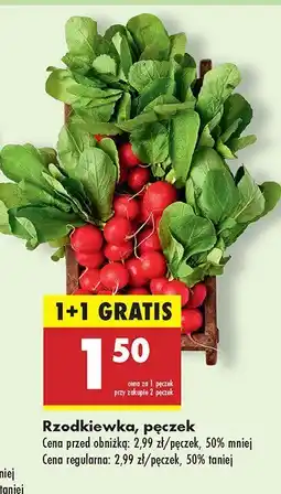 Biedronka Rzodkiewka pęczek Biedronka oferta