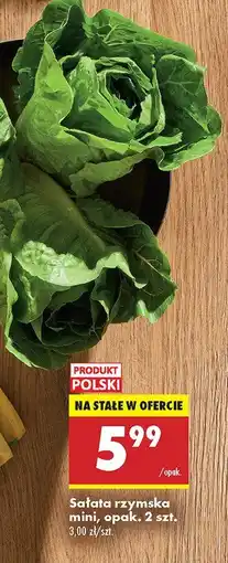 Biedronka Sałata rzymska mini Biedronka oferta
