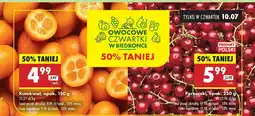 Biedronka Porzeczki Biedronka oferta