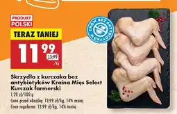 Biedronka Skrzydła z kurczaka bez antybiotyków Kraina Mięs Select Kurczak farmerski oferta