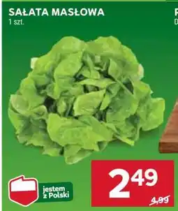 Stokrotka Market Sałata masłowa oferta
