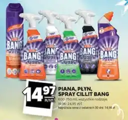 Stokrotka Market Piana, płyn, spray Cillit Bang oferta