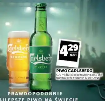 Stokrotka Market Piwo Carlsberg oferta