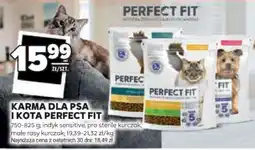 Stokrotka Market Karma dla psa i kota Perfect Fit oferta