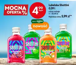Żabka Lubelska Shottini oferta