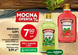 Żabka Absolwent oferta