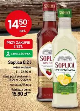 Żabka Soplica oferta