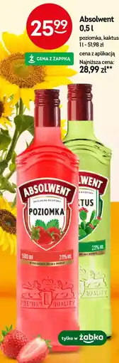 Żabka Absolwent oferta