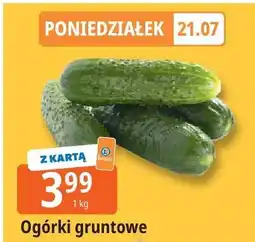 E.Leclerc Ogórki gruntowe Leclerc oferta