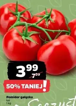Netto Pomidory gałązka oferta