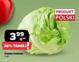 Netto Sałata lodowa oferta