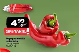 Netto Papryka słodka oferta