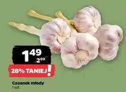 Netto Czosnek młody oferta