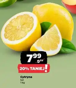 Netto Cytryny oferta