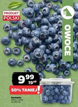 Netto Borówki amerykańskie oferta